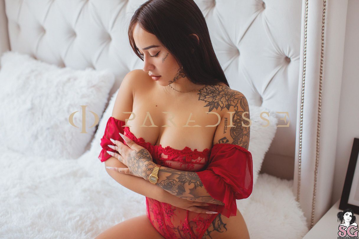 Escorts VIP Paradisse - Paloma Mami
